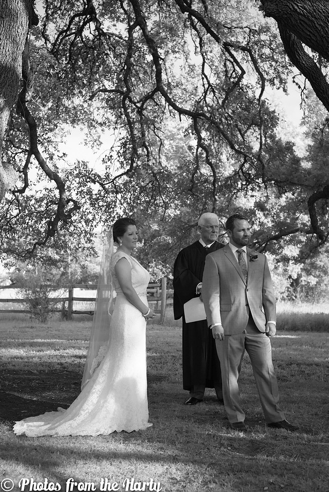 Austin, Texas, TX, Chappel Lodge, Vineyard, Vineyards, outdoor, lace, lacy, gown, dress, veil, grey, gray, tux, tuxedo, flowers, tree, trees, flower, wild, silly, fun, romantic, outdoors, green, blue, white, cap sleeves, train, cocktail hour, ceremony, candle, lighting, judge, family, families, friends, friend, Texan, Texans, UT, University of Texas, college, childhood, bride, groom, wedding, marriage, bridesmaids, bridesmaid, maid of honor, matron of honor, groomsmen, best man, Sessions, Siller, sillathrilla, Mr and Mrs, reception, ceremony, aisle, flats, up-do, happy, happiness, nature, natural, wine, winery, dance, dancing, traditional, nontraditional, unity, union, wife, husband, Washington DC, DC, DC metro area, Maryland, MD, Virginia, VA, Nation's Capital, US, USA, United States, America, American, Capital, Capitol, Photographer, Photography, professional, Sara Alepin, Sara, Alepin, Hartenstine, Harty, Sara Hartenstine, Photos from the Harty
