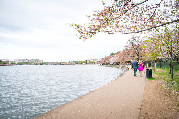 Kerri + Greg Engagement Session ı Washington, DC ı Photos from the Harty