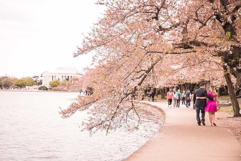 Kerri + Greg Engagement Session ı Washington, DC ı Photos from the Harty