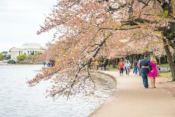 Kerri + Greg Engagement Session ı Washington, DC ı Photos from the Harty