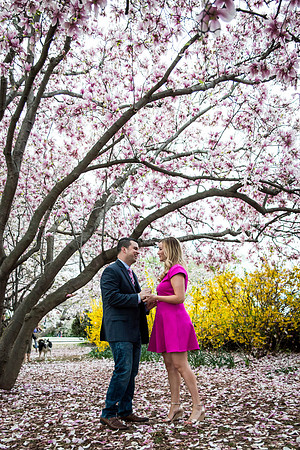 Kerri + Greg Engagement Session ı Washington, DC ı Photos from the Harty