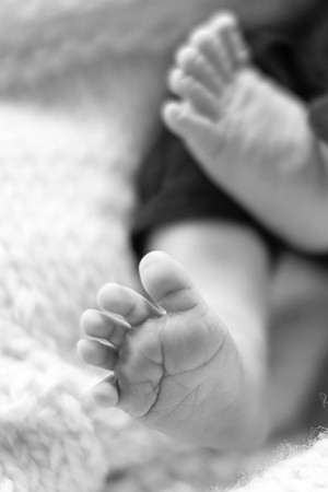 Emily Stallone ı Newborn Photography ı Photos from the Harty