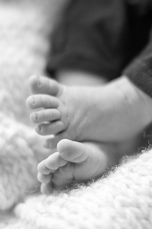 Emily Stallone ı Newborn Photography ı Photos from the Harty