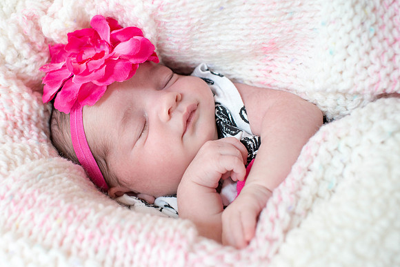 Emily Stallone ı Newborn Photography ı Photos from the Harty
