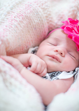 Emily Stallone ı Newborn Photography ı Photos from the Harty