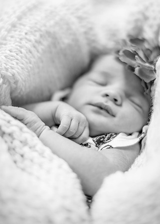 Emily Stallone ı Newborn Photography ı Photos from the Harty