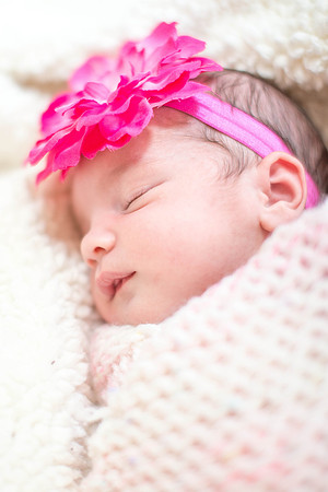 Emily Stallone ı Newborn Photography ı Photos from the Harty