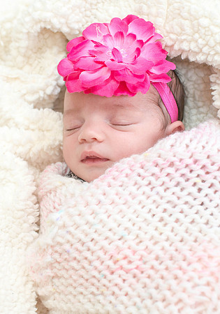 Emily Stallone ı Newborn Photography ı Photos from the Harty