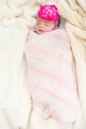 Emily Stallone ı Newborn Photography ı Photos from the Harty