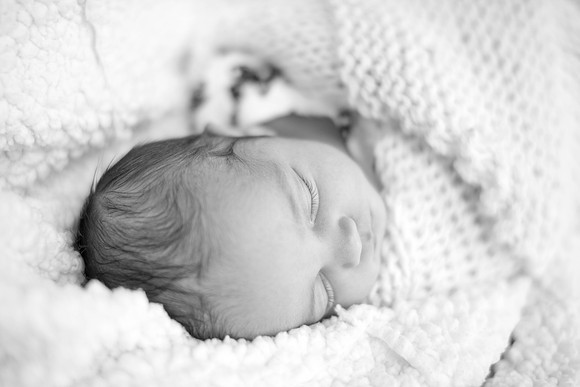 Emily Stallone ı Newborn Photography ı Photos from the Harty