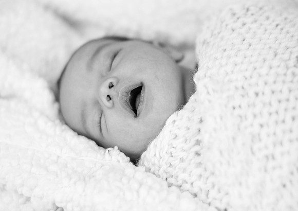 Emily Stallone ı Newborn Photography ı Photos from the Harty