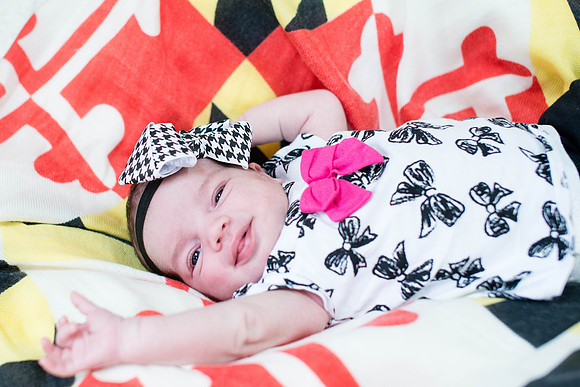 Emily Stallone ı Newborn Photography ı Photos from the Harty