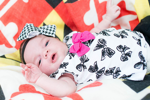 Emily Stallone ı Newborn Photography ı Photos from the Harty