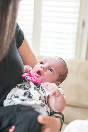 Emily Stallone ı Newborn Photography ı Photos from the Harty