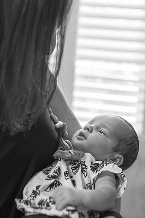 Emily Stallone ı Newborn Photography ı Photos from the Harty