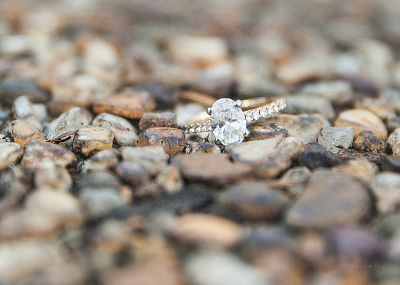 Adams Morgan and Meridian Hill Park Engagement Session | Photos from the Harty