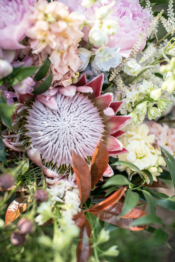 Alepin, Amazing, Animal, Artist, Artistic, Artists, Artsy, Autumn, Autumnal, Beautiful, Beauty, "Best Man", Bisexual, Black, Bliss, Blonde, Blue, Bow, Bride, Brides, Bridesmaid, Bridesmaids, Bright, B