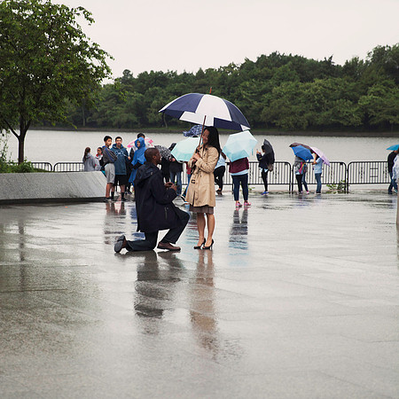 Surprise Proposal ı Photos from the Harty