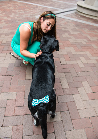 Bow, "Bow tie", "Bow ties", Bowties, Bowtie, Tie, Babies, Children, Dress, Fancy, Dogs, Dog, Puppy, Puppies, Pup, Pups, Animals, Collar, Costume, Sunday, Best, Dresses, "Just Smile", Accessories, Acce