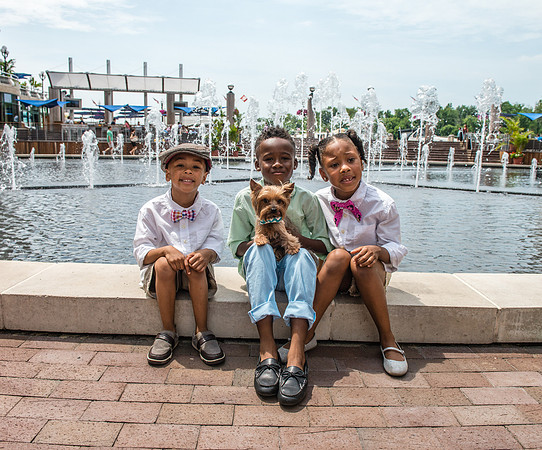 Bow, "Bow tie", "Bow ties", Bowties, Bowtie, Tie, Babies, Children, Dress, Fancy, Dogs, Dog, Puppy, Puppies, Pup, Pups, Animals, Collar, Costume, Sunday, Best, Dresses, "Just Smile", Accessories, Acce
