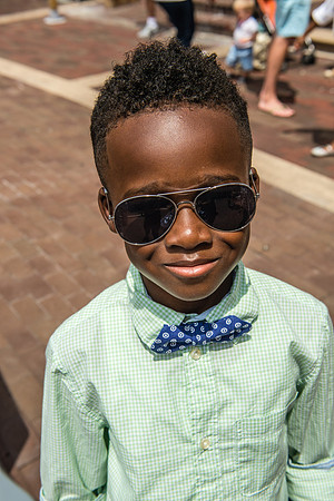 Bow, "Bow tie", "Bow ties", Bowties, Bowtie, Tie, Babies, Children, Dress, Fancy, Dogs, Dog, Puppy, Puppies, Pup, Pups, Animals, Collar, Costume, Sunday, Best, Dresses, "Just Smile", Accessories, Acce