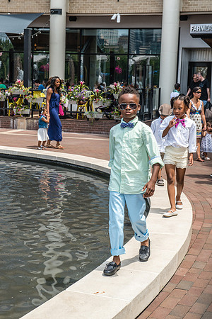 Bow, "Bow tie", "Bow ties", Bowties, Bowtie, Tie, Babies, Children, Dress, Fancy, Dogs, Dog, Puppy, Puppies, Pup, Pups, Animals, Collar, Costume, Sunday, Best, Dresses, "Just Smile", Accessories, Acce