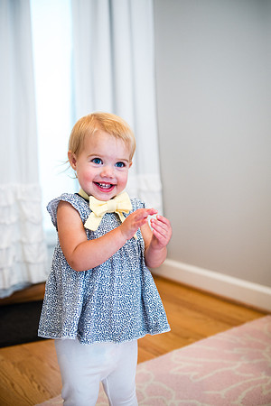 Bow, "Bow tie", "Bow ties", Bowties, Bowtie, Tie, Babies, Children, Dress, Fancy, Dogs, Dog, Puppy, Puppies, Pup, Pups, Animals, Collar, Costume, Sunday, Best, Dresses, "Just Smile", Accessories, Acce