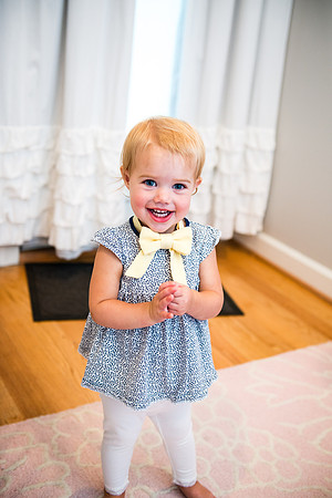 Bow, "Bow tie", "Bow ties", Bowties, Bowtie, Tie, Babies, Children, Dress, Fancy, Dogs, Dog, Puppy, Puppies, Pup, Pups, Animals, Collar, Costume, Sunday, Best, Dresses, "Just Smile", Accessories, Acce