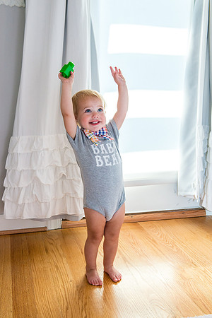 Bow, "Bow tie", "Bow ties", Bowties, Bowtie, Tie, Babies, Children, Dress, Fancy, Dogs, Dog, Puppy, Puppies, Pup, Pups, Animals, Collar, Costume, Sunday, Best, Dresses, "Just Smile", Accessories, Acce