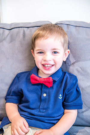 Bow, "Bow tie", "Bow ties", Bowties, Bowtie, Tie, Babies, Children, Dress, Fancy, Dogs, Dog, Puppy, Puppies, Pup, Pups, Animals, Collar, Costume, Sunday, Best, Dresses, "Just Smile", Accessories, Acce