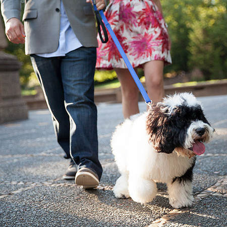 Adams Morgan and Meridian Hill Park Engagement Session | Photos from the Harty