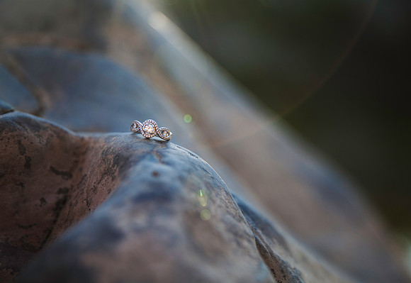 Taylor + Amy ı Great Falls Engagement Session