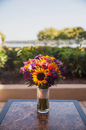 Katie + Ken | Sunflower Engagement Session in Northern Virginia