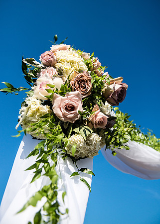 Mr & Mrs DeVinney ı Photos from the Harty