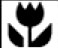 Alepin, Amazing, Animal, Anna, Art, Artist, Artistic, Artists, Artsy, Autumn, Autumnal, Bags, Baskets, Bearer, Beaten, Beautiful, Beauty, Best, Bi, Bisexual, Black, Bliss, Bliss, Bow, Bride, Brides, B
