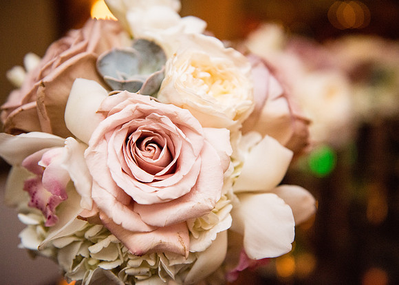Mr & Mrs DeVinney ı Photos from the Harty