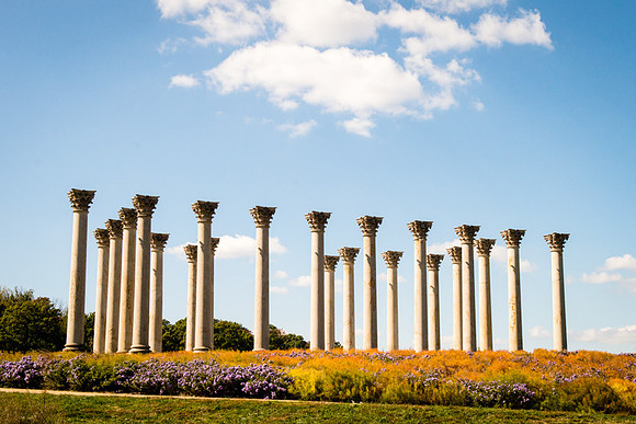 '"Budget Friendly"', '"District Bliss"', '"Hotel Monaco"', '"House of Herrera"', '"National Mall"', '"Northern Virginia"', '"On Trend"', '"Photos from the Harty"', '"Ring Bearer"', '"Washington DC"',