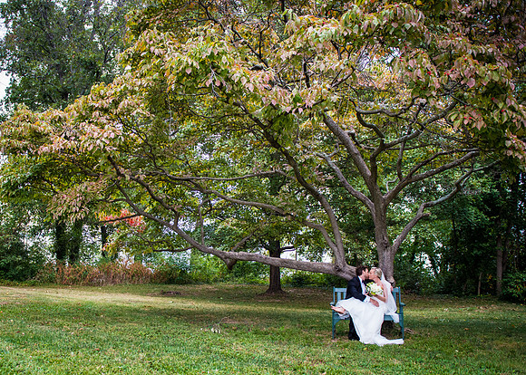 River Farm Wedding ı Alexandria, VA ı Photos from the Harty
