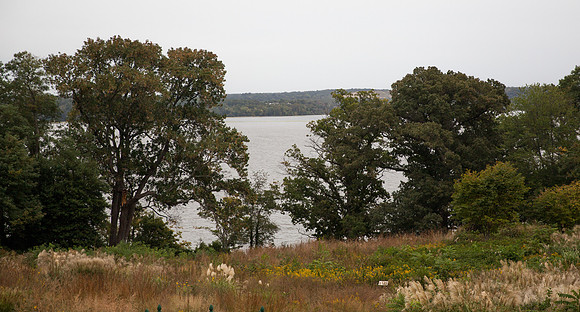 River Farm Wedding ı Alexandria, VA ı Photos from the Harty
