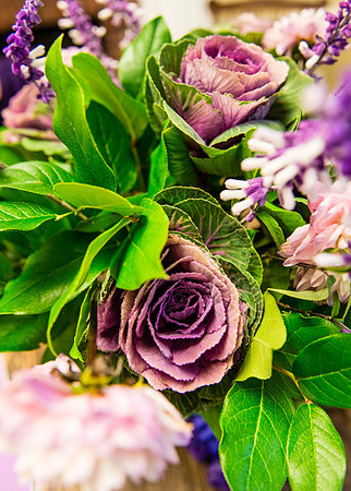 "Budget Friendly", "District Bliss", "Hotel Monaco", "House of Herrera", "National Mall", "Northern Virginia", "On Trend", "Photos from the Harty", "Ring Bearer", "Washington DC", "Wedding Planning on