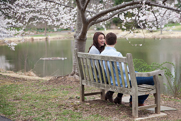Cherry Blossoms, Proposal, Surprise, Park, Engagement, Engaged, Wedding, Photography, Photographer, Vienna, VA, Virginia