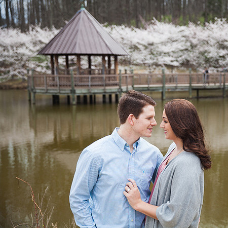 Cherry Blossoms, Proposal, Surprise, Park, Engagement, Engaged, Wedding, Photography, Photographer, Vienna, VA, Virginia