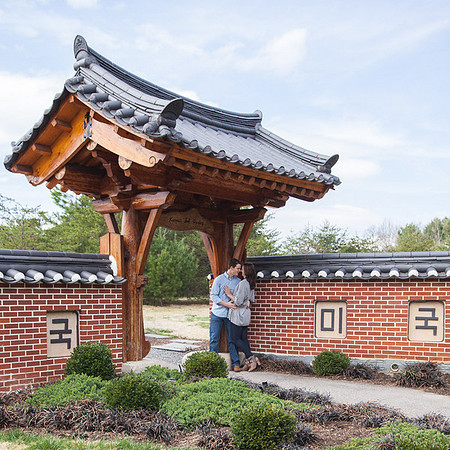 Cherry Blossoms, Proposal, Surprise, Park, Engagement, Engaged, Wedding, Photography, Photographer, Vienna, VA, Virginia