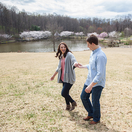 Cherry Blossoms, Proposal, Surprise, Park, Engagement, Engaged, Wedding, Photography, Photographer, Vienna, VA, Virginia