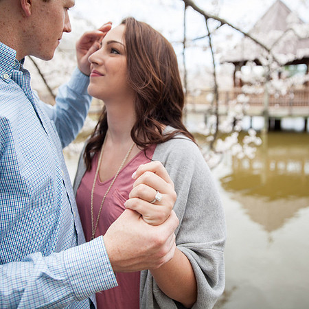 Cherry Blossoms, Proposal, Surprise, Park, Engagement, Engaged, Wedding, Photography, Photographer, Vienna, VA, Virginia