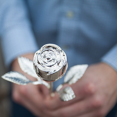 Cherry Blossoms, Proposal, Surprise, Park, Engagement, Engaged, Wedding, Photography, Photographer, Vienna, VA, Virginia