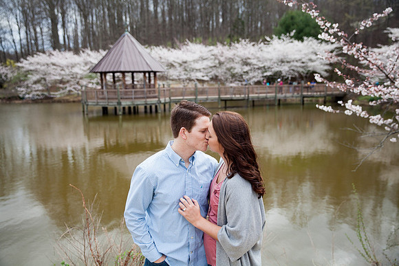 Cherry Blossoms, Proposal, Surprise, Park, Engagement, Engaged, Wedding, Photography, Photographer, Vienna, VA, Virginia