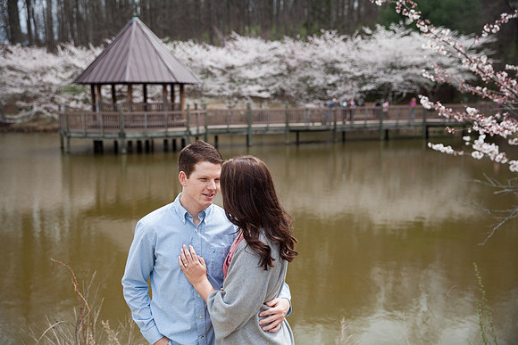 Cherry Blossoms, Proposal, Surprise, Park, Engagement, Engaged, Wedding, Photography, Photographer, Vienna, VA, Virginia