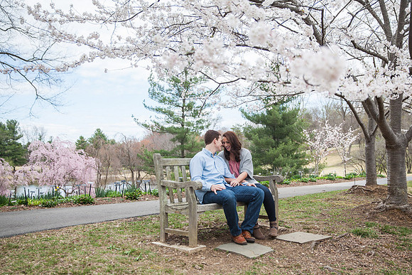 Cherry Blossoms, Proposal, Surprise, Park, Engagement, Engaged, Wedding, Photography, Photographer, Vienna, VA, Virginia