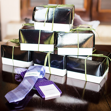 Cheeseman Wedding | Jamaica